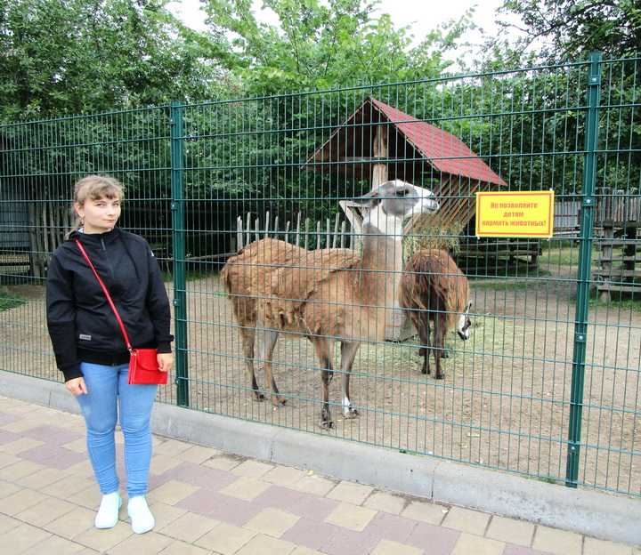 Карта зоопарка лимпопо